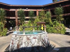 -韶关经律论国际酒店温泉