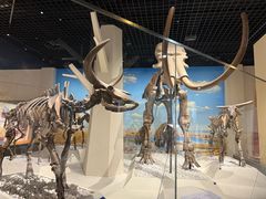 -国家自然博物馆