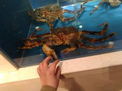 -BHG Market Place(水游城店)