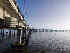 -星海湾跨海大桥
