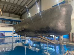 -上海海洋大学鱼文化博物馆(军工路校区)