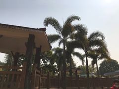 -荔湾区儿童公园