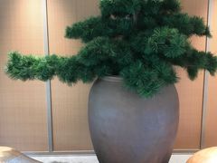 -全季酒店（苏州观前街平江路店）(原临顿路地铁站店)