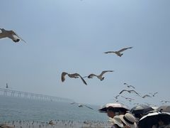 -星海广场