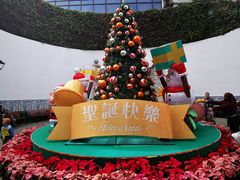 -市政署