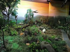 -陕西自然博物馆