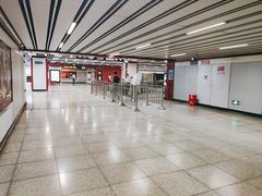 -桃浦新村(地铁站)