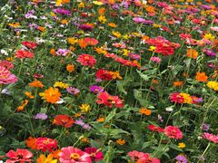 -武汉理工大学（南湖新校区）-图书馆