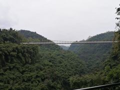 -川西竹海景区