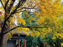 -香山公园