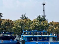 -渤公岛生态公园