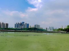 -月湖风景区