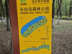 -长白岛森林公园