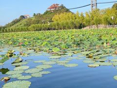 -南戴河国际娱乐中心