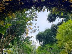 -植物园哈利亚餐厅