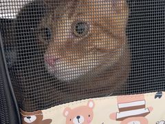 -良伴无忧宠物医院(泰欣嘉园店)