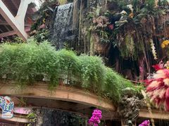 -正佳雨林生态植物园
