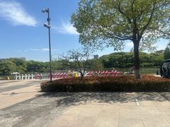 -圩墩遗址公园