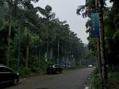 -重庆海昌加勒比海水世界