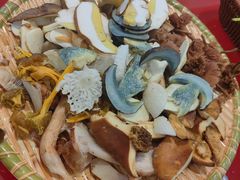 时令野生菌-草墩罗非鱼庄•野生菌•腊排骨(七星街上段店)