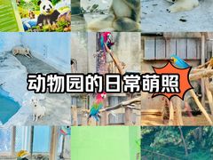 -大连森林动物园