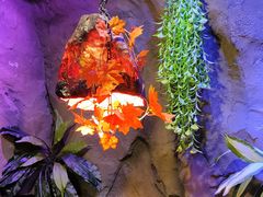 -醉小酒馆·川菜·江湖菜·重庆菜(观音桥旗舰店)