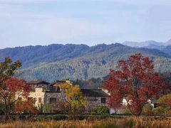 -塔川景区