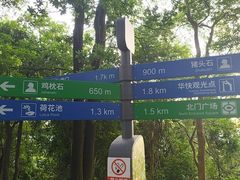 -火炉山森林公园