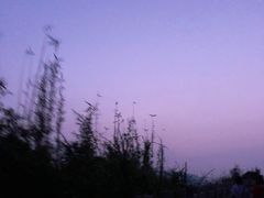 -北岐滩涂