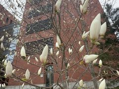 -大连理工大学(凌水校区)
