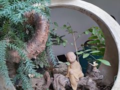 -漫笙舍Manse·咖啡·民宿