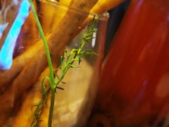 -椒爱水煮鱼川菜(中街大悦城店)