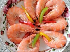 -爱月宝月嫂·育儿嫂(哈尔滨总店)