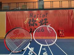 -东坡羽毛球馆(东坡南一路店)