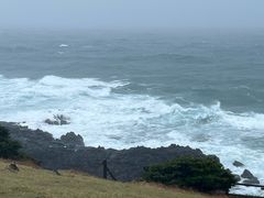 -涉地可支