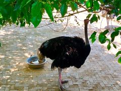 -武汉紫薇都市田园