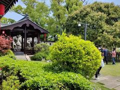 -江心屿景区
