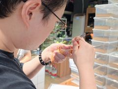 -酷以爬仙阁实体爬宠店·守宫·蜥蜴·专业繁育