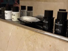 -国家会议中心大酒店