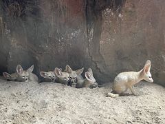-杭州野生动物世界