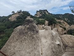 -大岭沟猕猴桃谷风景区