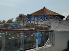 -瑞德姆美人鱼海底演艺主题餐厅(亚龙湾店)