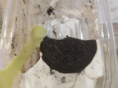 -爱蚝屋