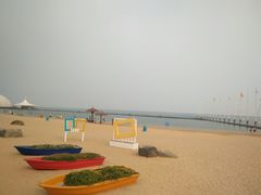 -碧海金沙