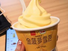 -麦当劳(抚顺东一路店)