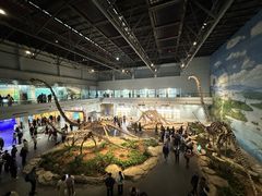 -自贡恐龙博物馆