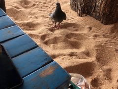-乔木提恩海滩