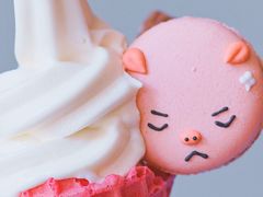 -WHEN PIGS FLY当猪飞