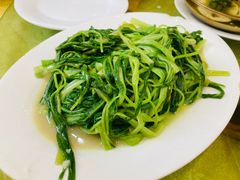 -鸿达渔港