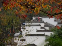 -塔川景区